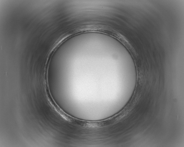 X0000056360794200508260945