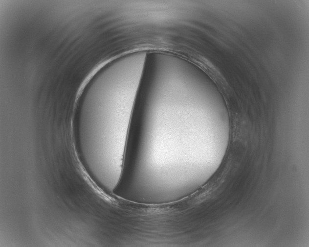 X0000056360796200508260945
