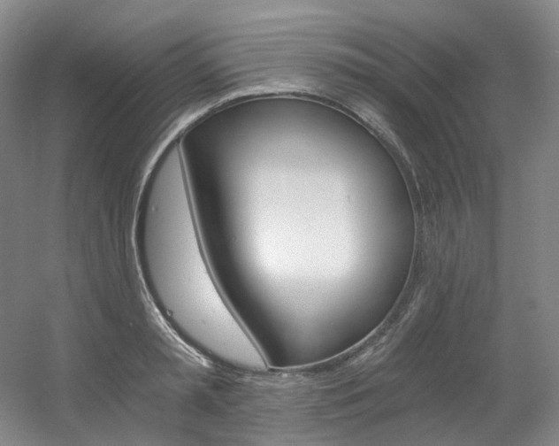 X0000056360797200508260945
