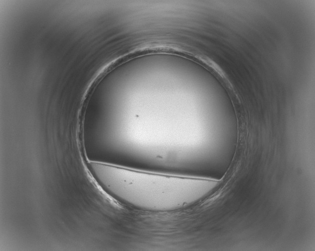 X0000056360799200508260944