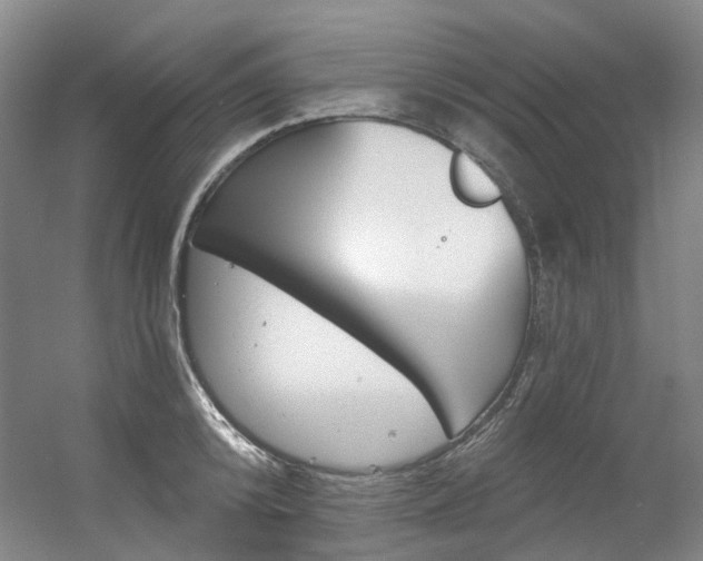 X0000056360800200508260944