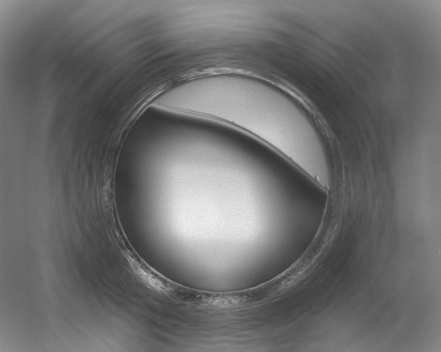 X0000056360801200508260944