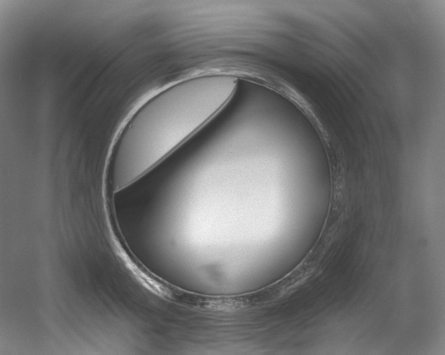 X0000056360803200508260944
