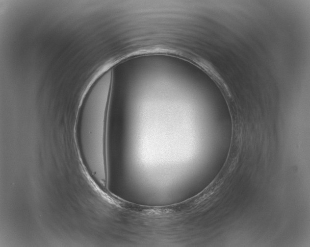 X0000056360805200508260944