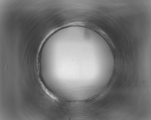 X0000056360808200508260944