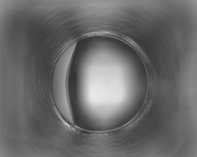 X0000056360809200508260944