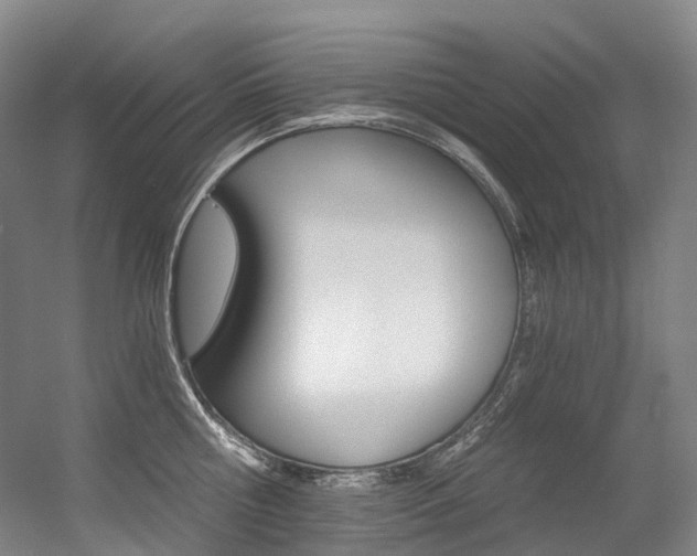 X0000056360810200508260944