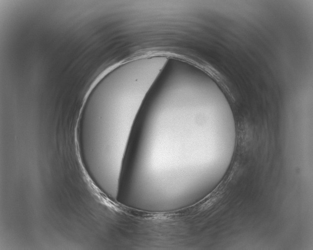 X0000056360814200508260944