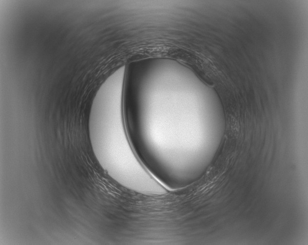 X0000056360818200508260943