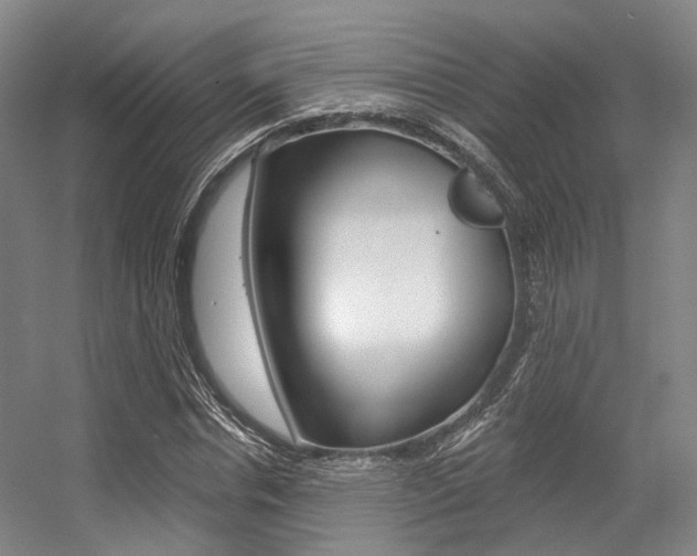 X0000056360826200508260944