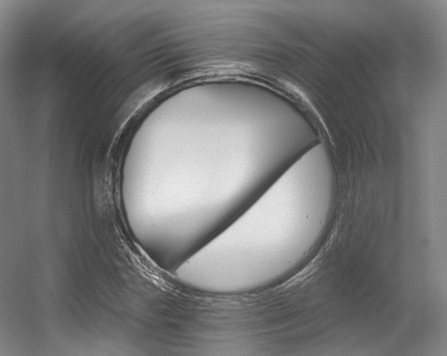 X0000056360827200508260944