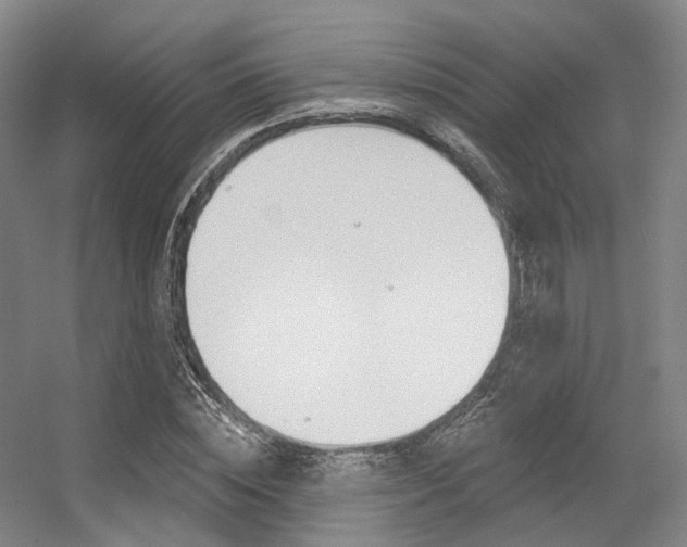 X0000056360828200508260944
