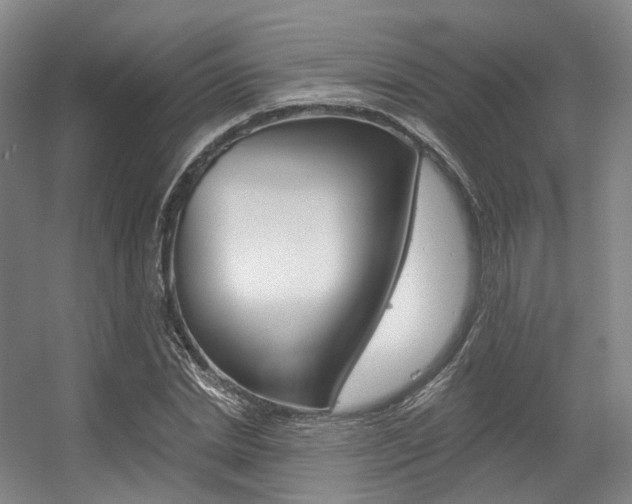 X0000056360830200508260944