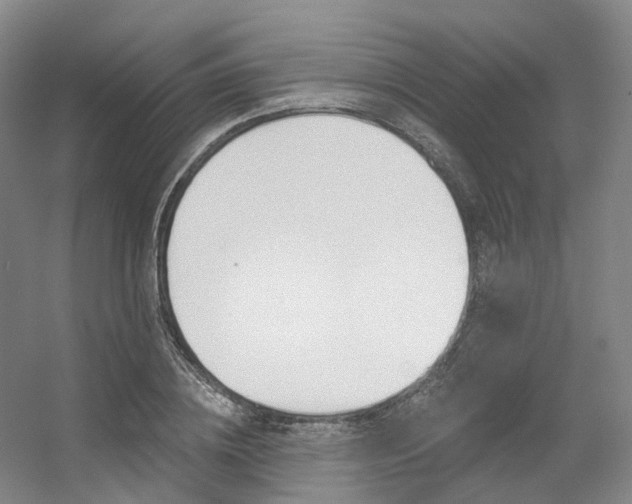 X0000056360836200508260944
