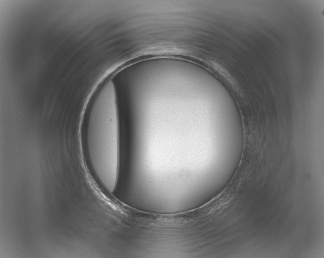 X0000056360840200508260944