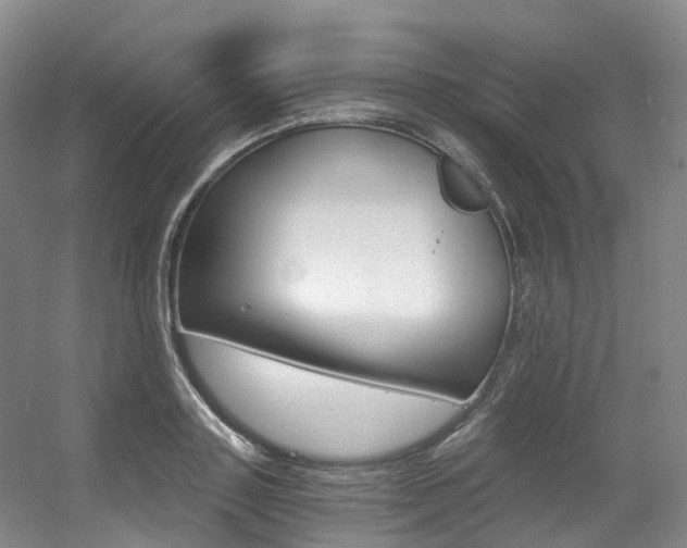 X0000056360843200508260944