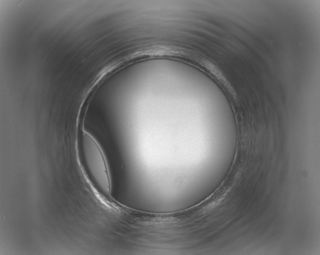X0000056360845200508260944