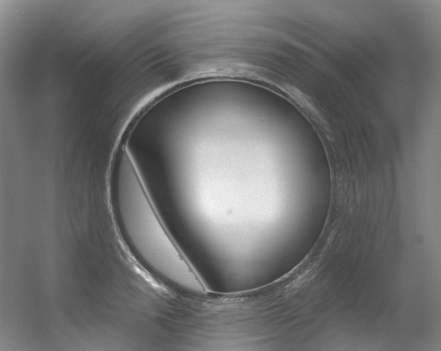 X0000056360846200508260944