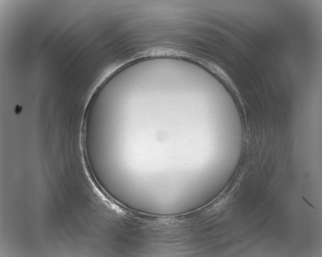 X0000056360847200508260944