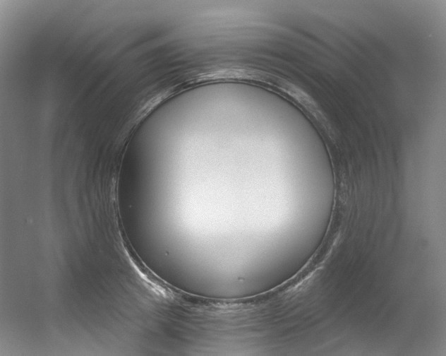 X0000056360849200508260944