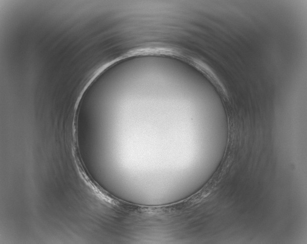 X0000056360852200508260944