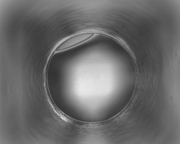 X0000056360862200508260944