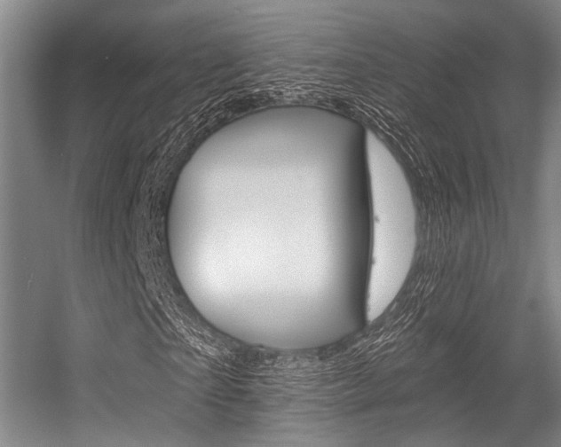 X0000056360865200508260943