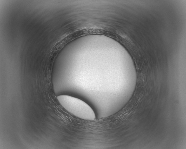 X0000056360870200508260943