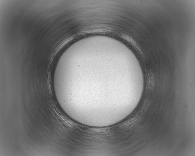 X0000056360874200508260943