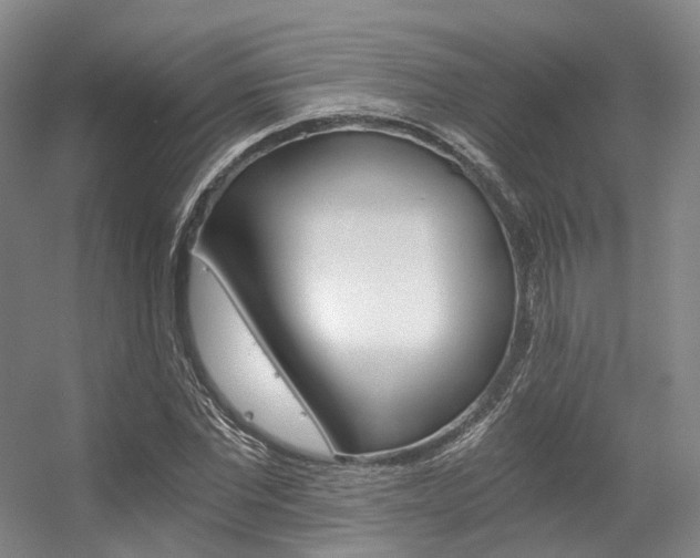 X0000056360877200508260943