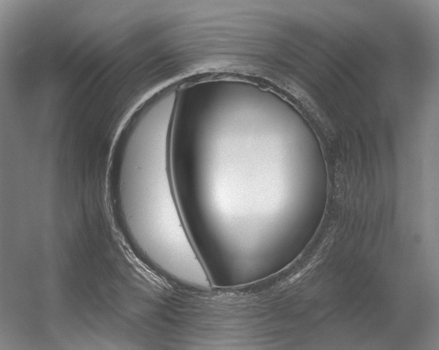 X0000056360880200508260943