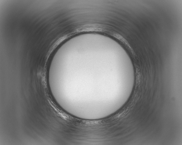 X0000056360882200508260943