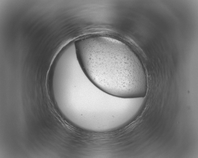X0000056360883200508260943