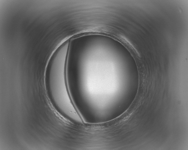 X0000056360884200508260943