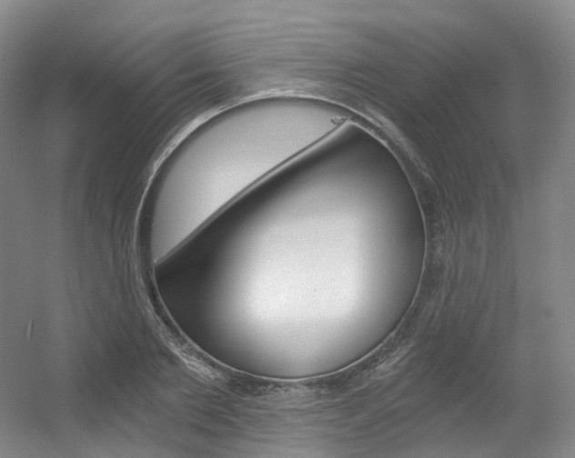 X0000056360885200508260943