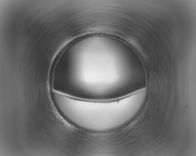 X0000056360888200508260943
