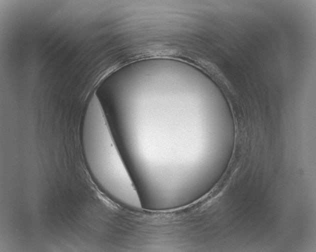 X0000056360889200508260943