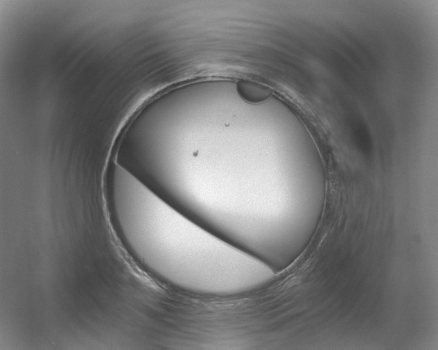 X0000056360891200508260943