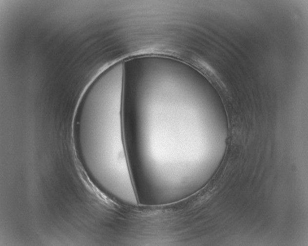 X0000056360892200508260943