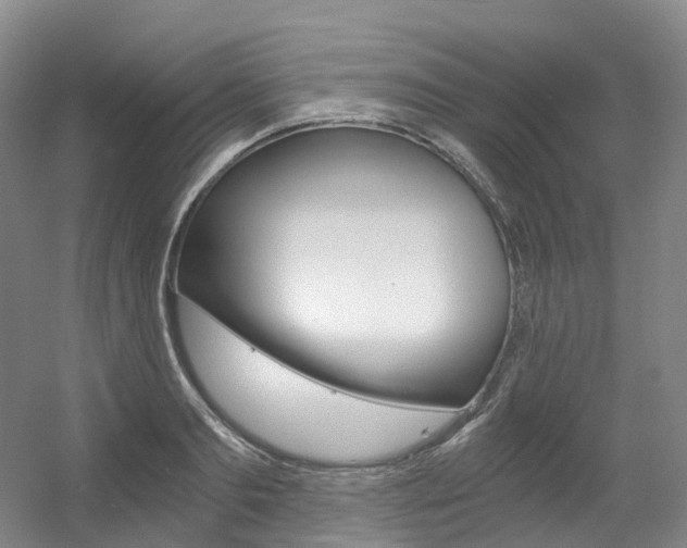 X0000056360893200508260943