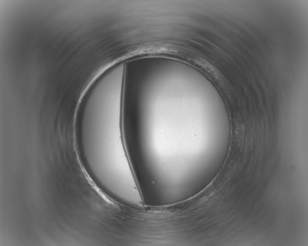 X0000056360894200508260943