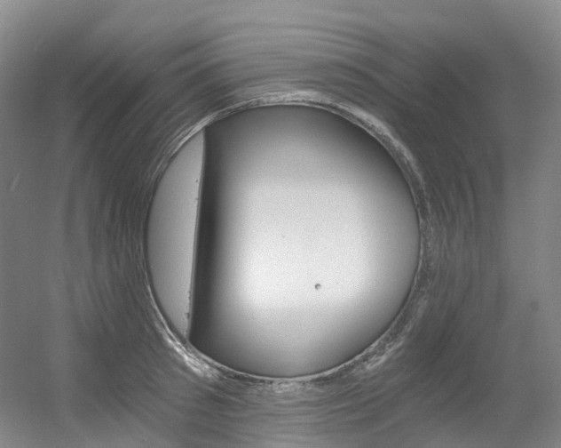 X0000056360897200508260943