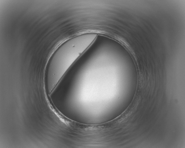 X0000056360898200508260943