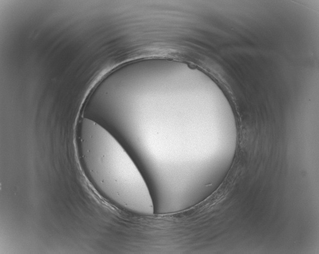X0000056360899200508260943