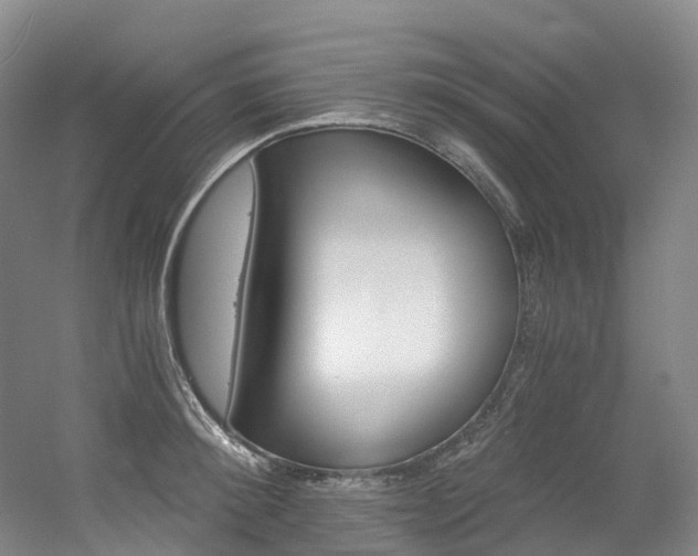 X0000056360900200508260943
