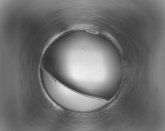 X0000056360901200508260943