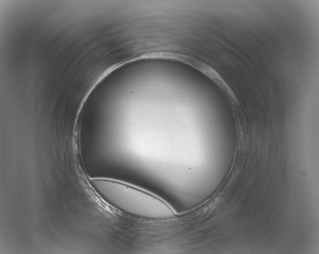 X0000056360908200508260943