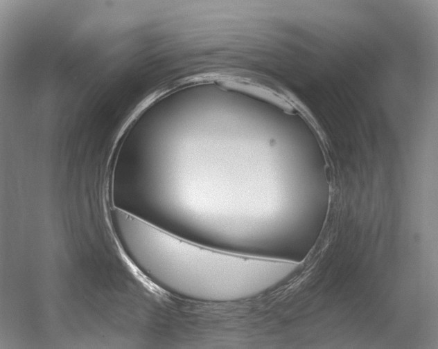 X0000056360909200508260943