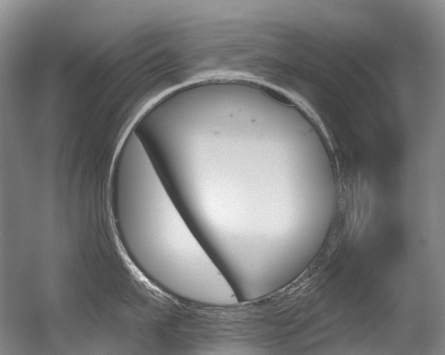 X0000056360911200508260943