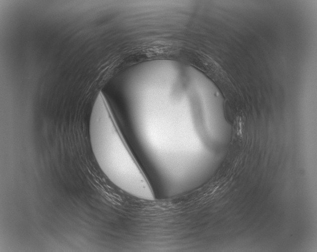 X0000056360915200508260942